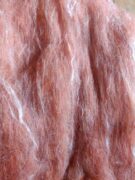 123995277_1846750148817211_2002880070949671424_n