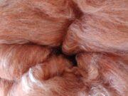 123995277_1846750148817211_2002880070949671424_n