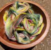 124442209_2777221279262666_780297194331290556_n