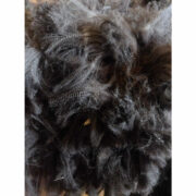 127158634_1371785113157830_3247085961305234829_n