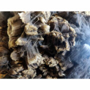 127158634_1371785113157830_3247085961305234829_n