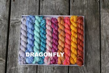 Koigu Pencil Box KPPPM - Dragonfly