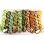 Koigu Paint Pack - Eco Green