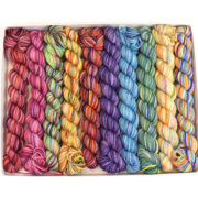 Koigu Pencil Box - Carousel