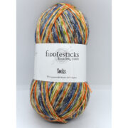 Fiddlesticks Socks 100g - 160-04