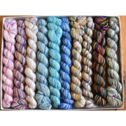 Koigu Pencil Box - Berry Crush