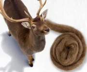 wow-carded-wool-deer-14472793063467