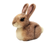 Baby Bunny Needle Felting Kit