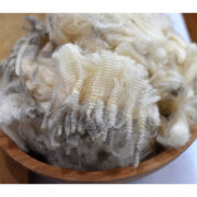 Merino x Border Leicester Raw Wool Fleece 300g