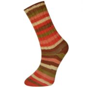 244665265_1298298307288481_8308131594424702817_n-removebg-preview