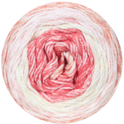 244635842_463941434868096_344066811837407625_n-removebg-preview