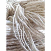 243273576_1246100095894021_7214778989640125424_n