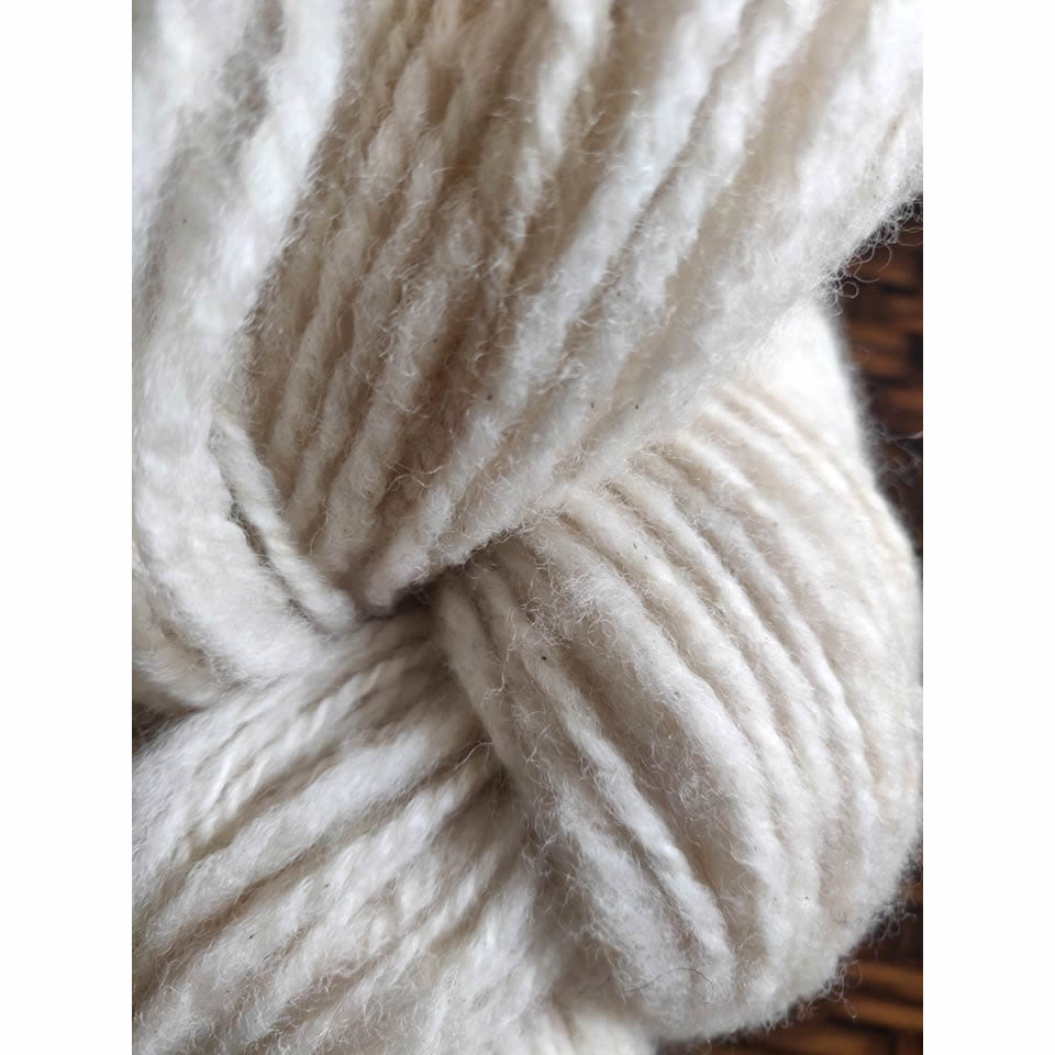 243001897_918060108788295_964255591517979314_n