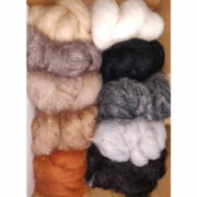 271845665_2988093394787892_6089331859383382348_n