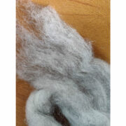 271845665_2988093394787892_6089331859383382348_n