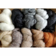 271845665_2988093394787892_6089331859383382348_n