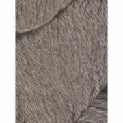 273048861_656250775718918_2853692340257192376_n