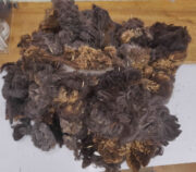 275445588_620355802469335_428030642696902568_n