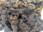 275445588_620355802469335_428030642696902568_n