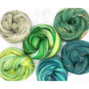 The Green Envy Collection Wool Roving Mixed Pack 150g