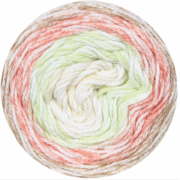 284050680_318472703786446_3646148482059674877_n-removebg-preview