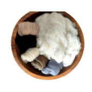 IMG_20220910_104655-removebg-preview