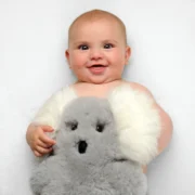 Sheepskin-Koala-Front_1800x1800 – Copy