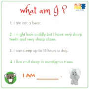 Sheepskin-Koala-Front_1800x1800 – Copy