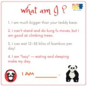 Sheepskin-PandaBear-Front_1800x1800