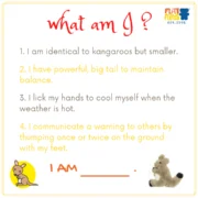 Sheepskin-BrownKangaroo-Front_1800x1800