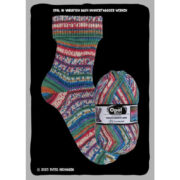 Opal Hundertwasser 4 Ply Sock Yarn 100g - 807