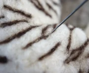 wowkit-felting-kits-tasia-the-tiger-needle-felting-kit-29167570780203