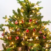 06c7c274975789d6c07846ef40e2e753955ed75d71ff1d1020aad9de8d127869