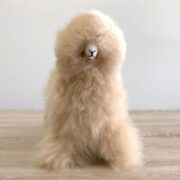 54934cfaf8b63e87b37b30e48c451a0c0fc85b11cce0197914eb81d85d101920