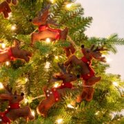 c65d67457beab7a3bae2d112c45cf57293094f9a64a0ecf8c94dfd9244f74ba0