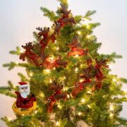 c65d67457beab7a3bae2d112c45cf57293094f9a64a0ecf8c94dfd9244f74ba0