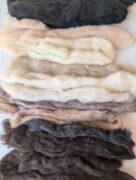 Carded Corriedale Mixed Pack 100g - Naturals