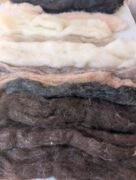 PXL_20260105_042859224