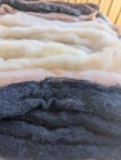 PXL_20260105_042859224