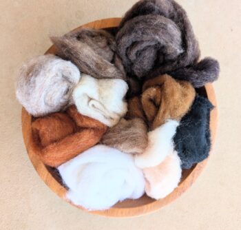 Carded Corriedale Sliver Mixed Pack 100g - Naturals & Animal Tones