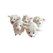 Photoroom-20241109_160437