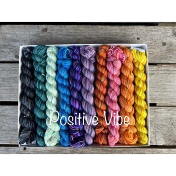 Koigu Pencil Box KPPPM - Positive Vibe