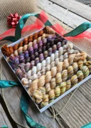 Koigu Pencil Box KPPPM - Chestnuts Roasting