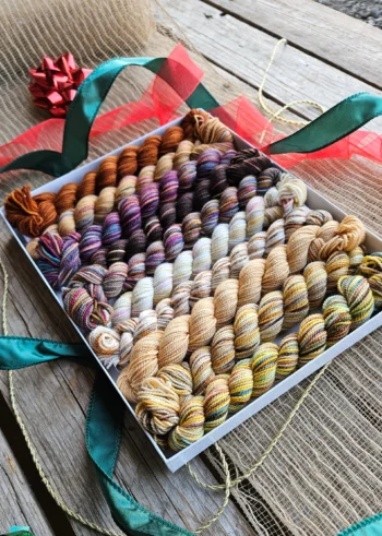 Koigu Pencil Box KPPPM - Chestnuts Roasting