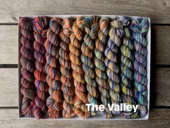 Koigu Pencil Box KPPPM - The Valley
