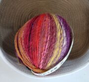 IMG_20250125_091903~2