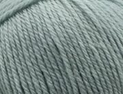 Fern 6221