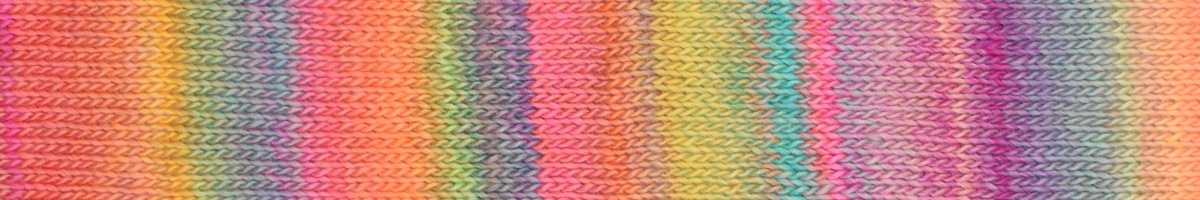 E-FIJI-1004
