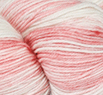 Arctic Salmon 073