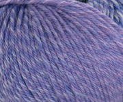 Lavender Field 7090